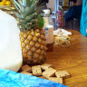 Meet your Posher, Rona